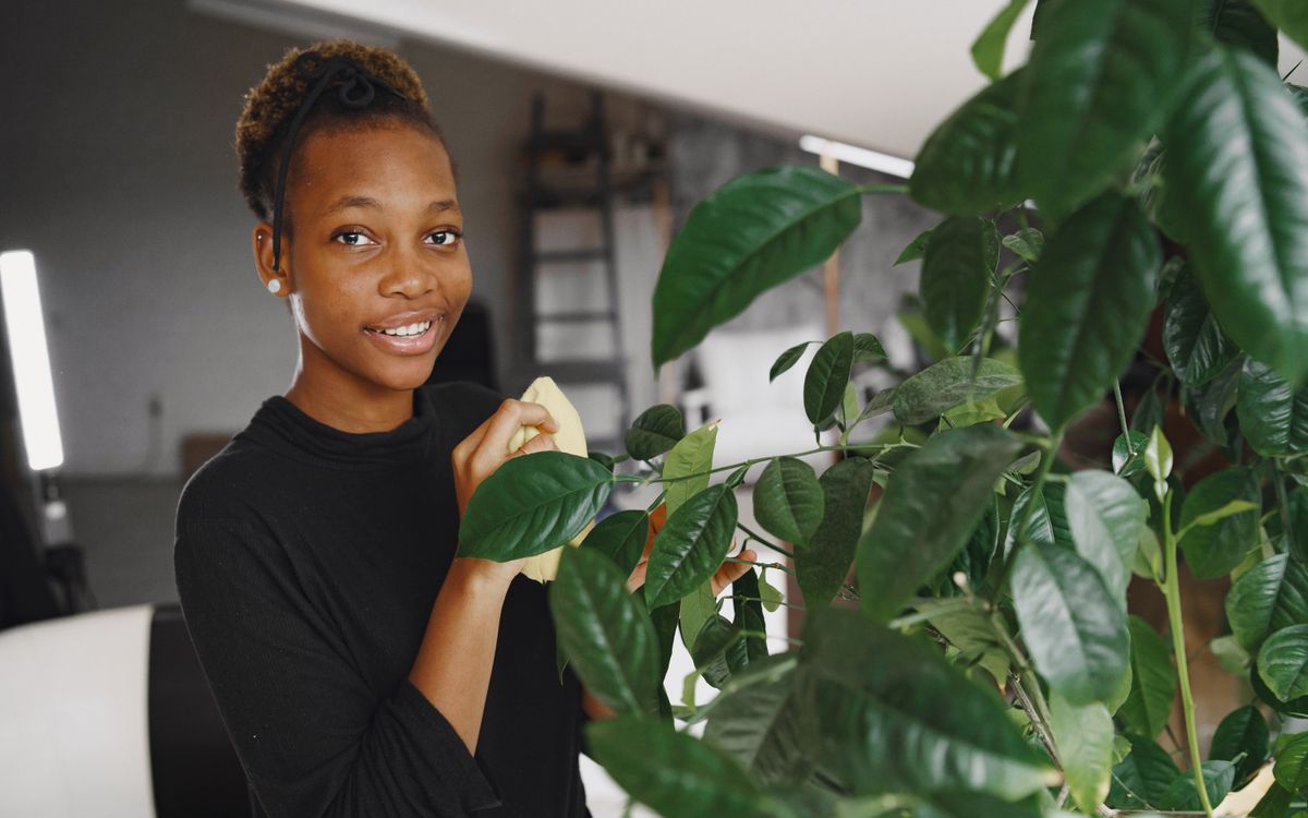 Gros plan sur des mains nettoyant du tissu à la lumière naturelle